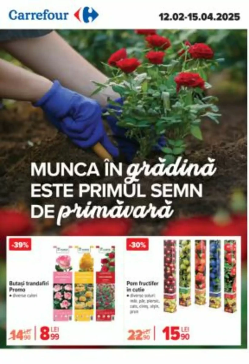 Catalog Carrefour