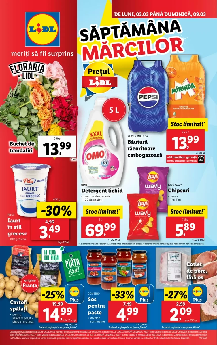 Catalog Lidl