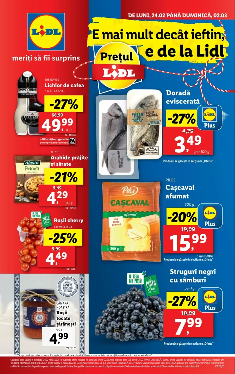Catalog Lidl