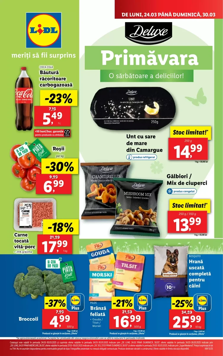 Catalog Lidl